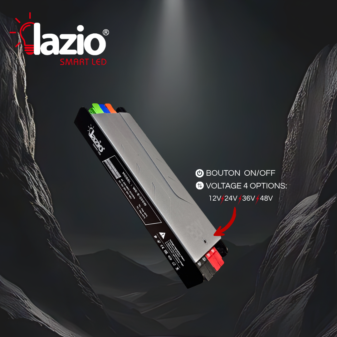 Transformateur 100W 4Switch: 12V-24V-36V-48V